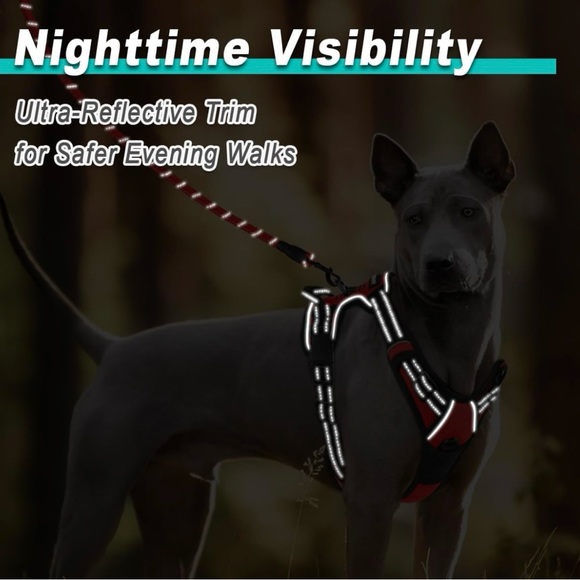 Harnesses BarkBay size M color Orange - Picture 5 of 6